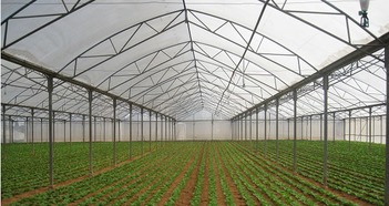 温室园艺采用灌溉新技术